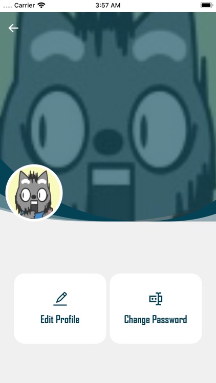 Pass A Plate screenshot-3