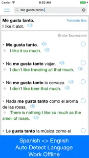 spanish translator offline iphone screenshot 2