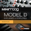 Minimoog Model D Course By mPV