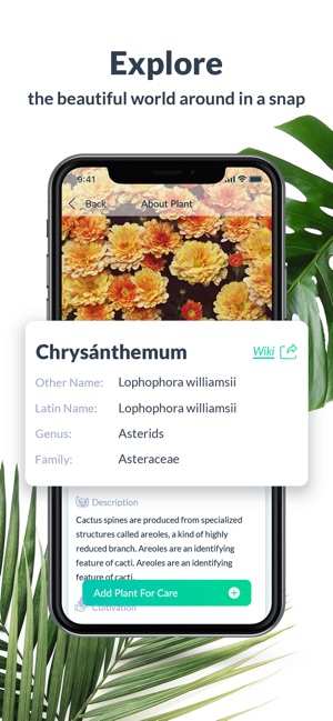 PlantFinder - Plant Identifier(圖3)-速報App