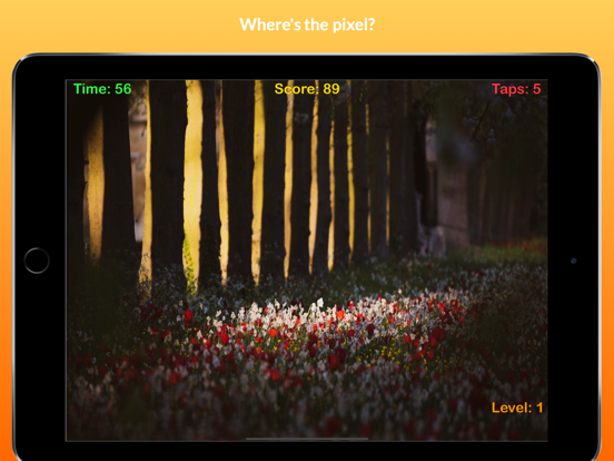 Find the Pixel - Found it iPad screenshot