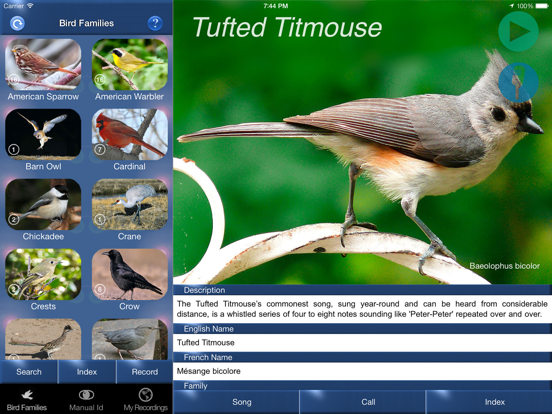 Screenshot #5 pour Bird Song Id Canada birdsongs