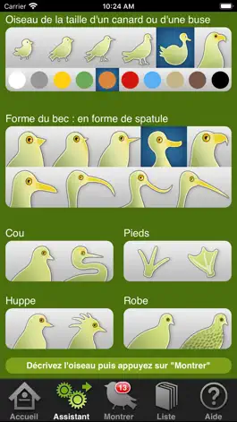 Game screenshot Oiseaux en poche hack