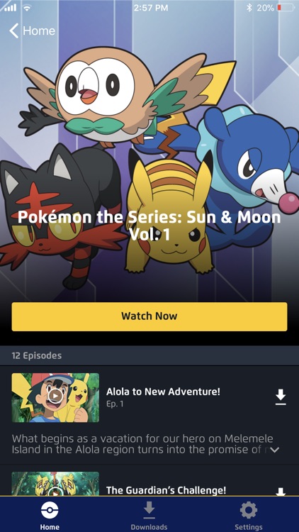 Pokémon TV
