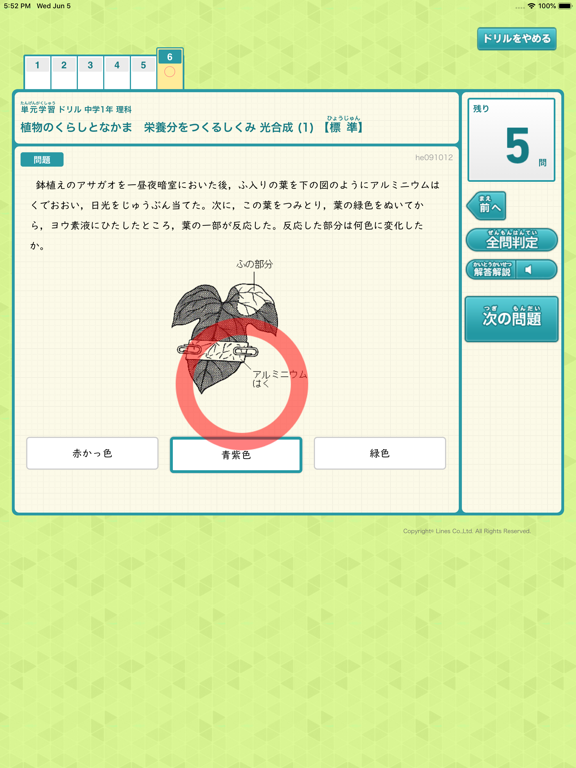 Screenshot #5 pour ラインズｅライブラリアドバンス ダウンロード学習