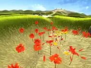 Flower ipad bilder 0