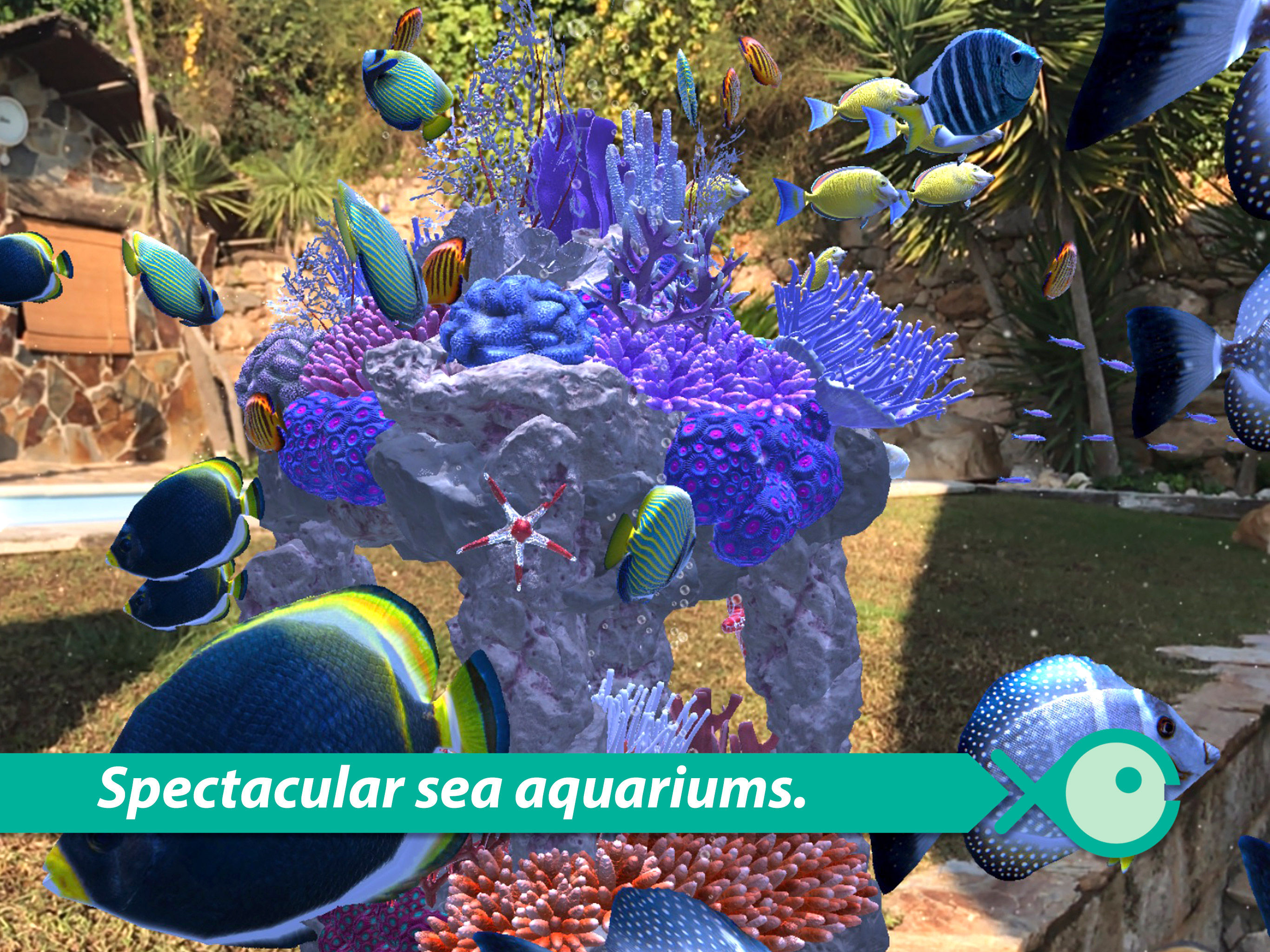 FishingGO AR