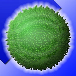 Super Marimo Profondeur