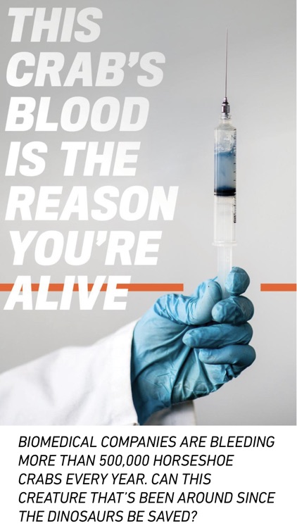 Popular Mechanics Magazine US screenshot-4