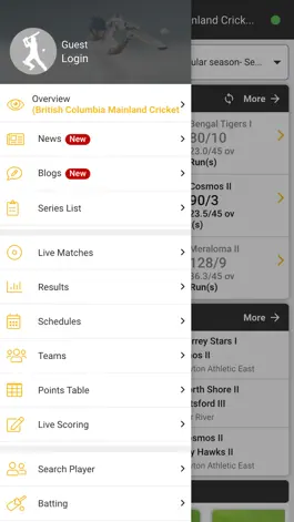 Game screenshot BCM Cricket League mod apk