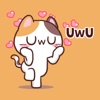 Meong the Meme Cat app icon - Stickers app for iPhone