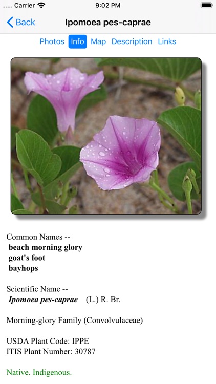 Hawaii Plants screenshot-4