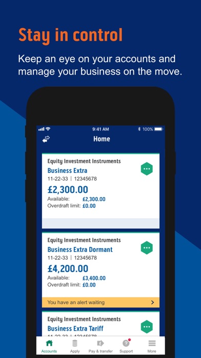 Screenshot #3 pour Bank of Scotland Business