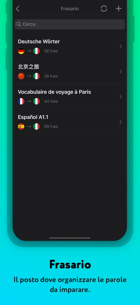 Traduttore offline di Mate