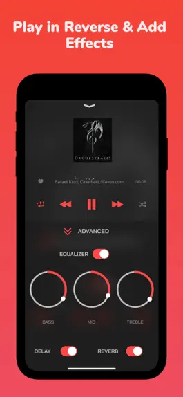 Game screenshot Reverse Song Player apk