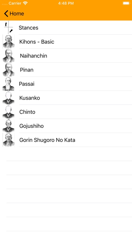 Shorin-Ryu Shorinkan Pro screenshot-5