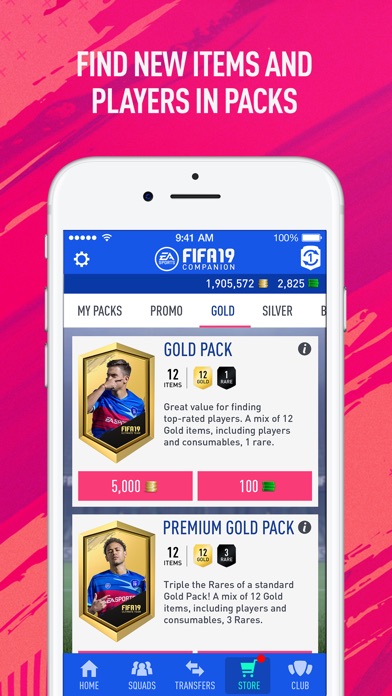 FIFA 19 Companion, Software