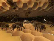 honigbiene vr ipad bildschirmfoto 3