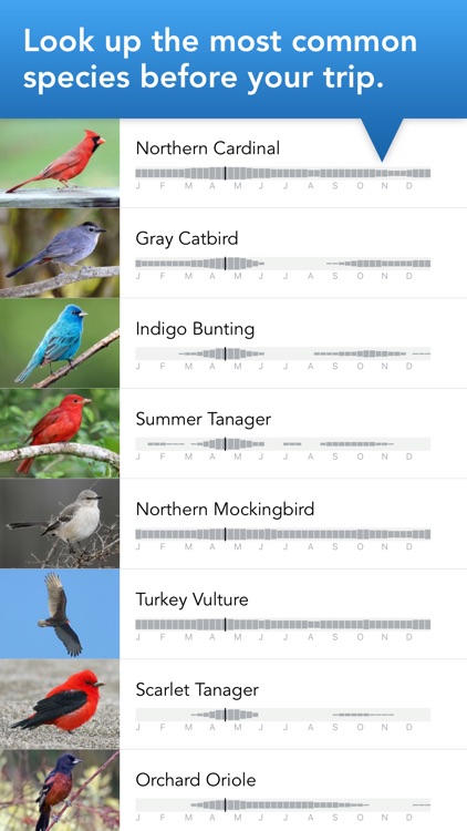 Merlin Bird ID by Cornell Lab screenshot-6