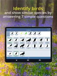 bird id - british isles birds ipad capturas de pantalla 4