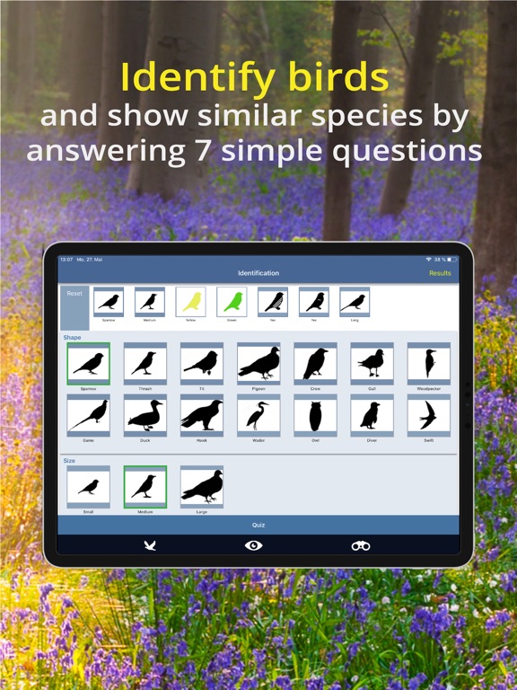 Bird Id - British Isles birds iPad screenshot 4 - Reference app