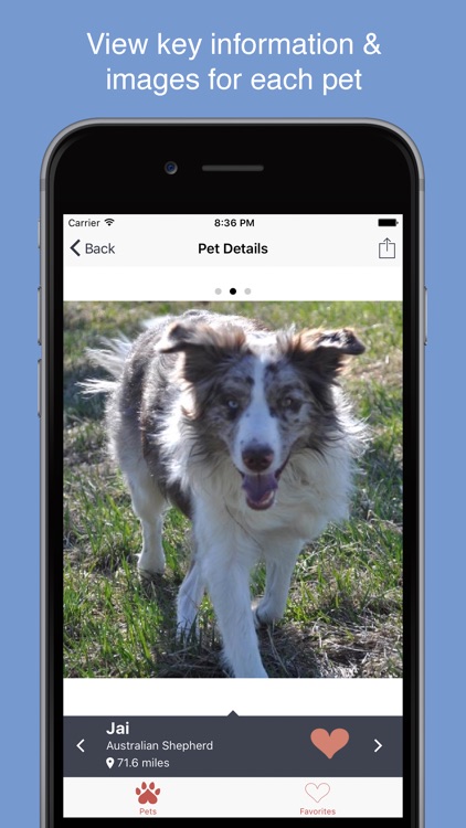 Pet Search - Adopt a Pet screenshot-1