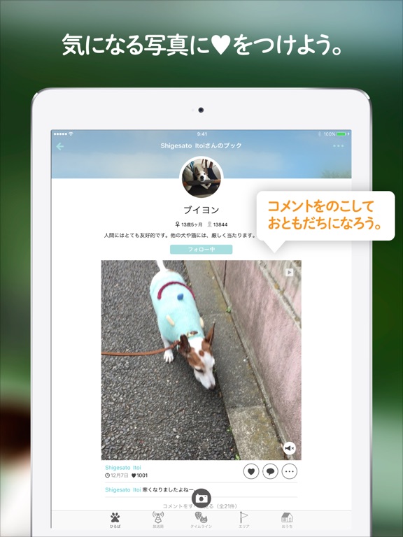 ドコノコ いぬねこ写真アプリ By Hobonichi Co Ltd Ios 日本 Searchman アプリマーケットデータ