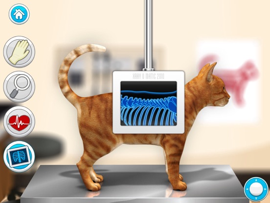 Doctor Games: Pet Vet Cat Care iPad app afbeelding 1