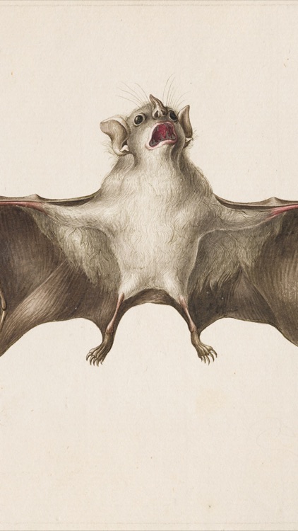 SC Museo Ciencias Naturales screenshot-4