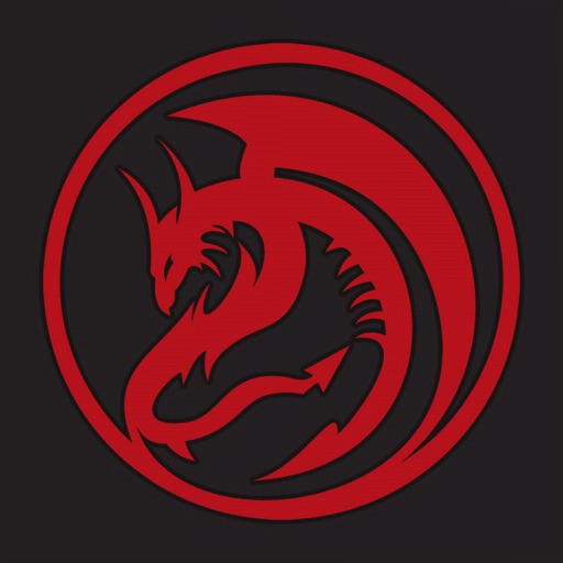 DRAGONFIRE.IO icon