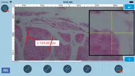 Game screenshot NScope hack