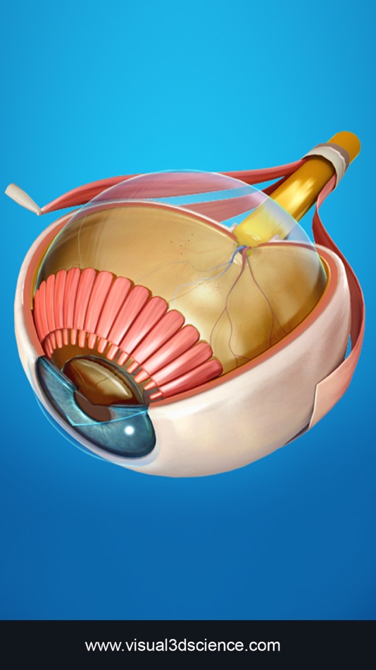 My Eye Anatomy - 1.1 - (iOS)