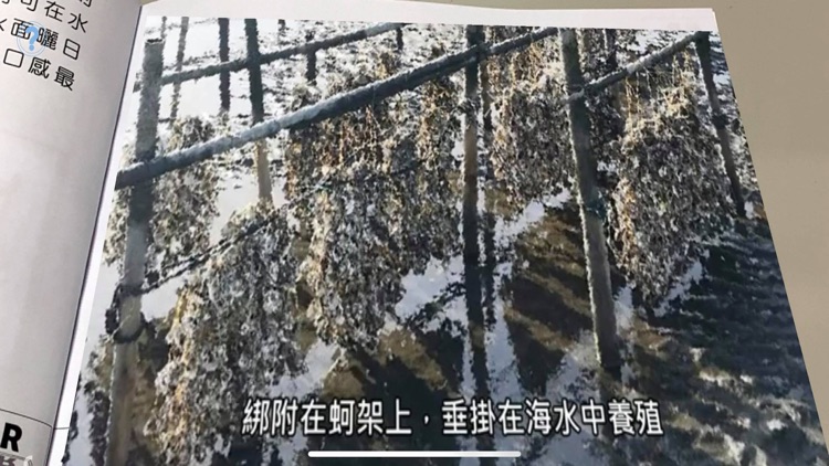 AR牡蠣繪本 screenshot-3