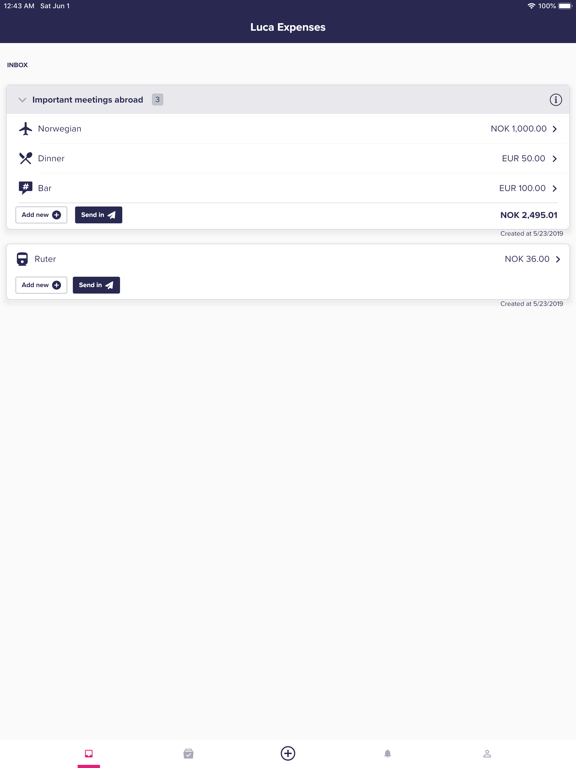 Screenshot #6 pour Luca Expenses