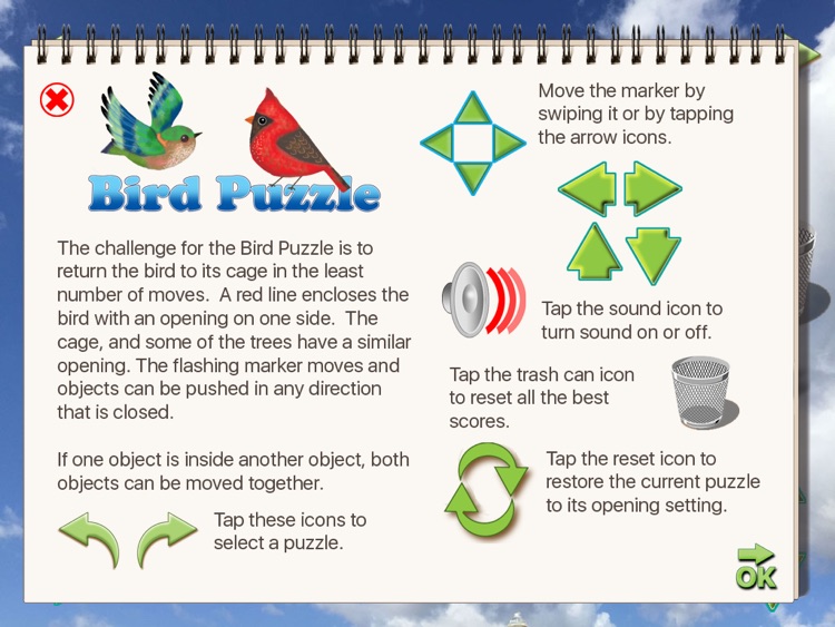 The Bird Puzzle