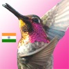 LifeDancing - Hindi - iPhoneアプリ