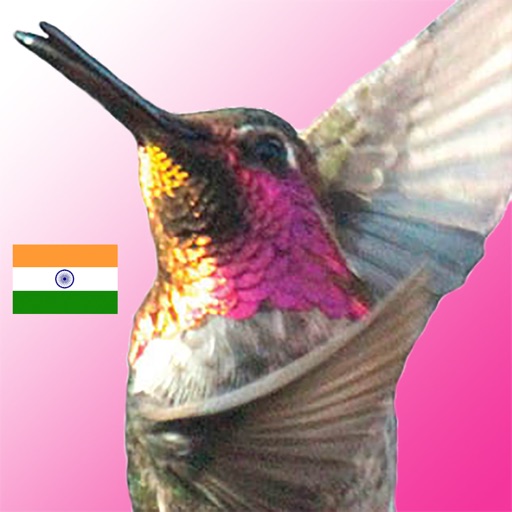 LifeDancing - Hindi icon