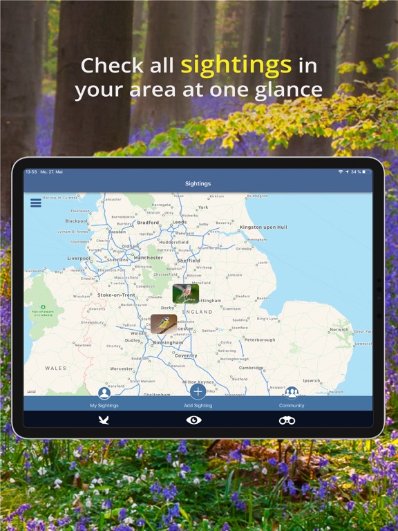 Bird Id - British Isles birds iPad screenshot 8 - Reference app