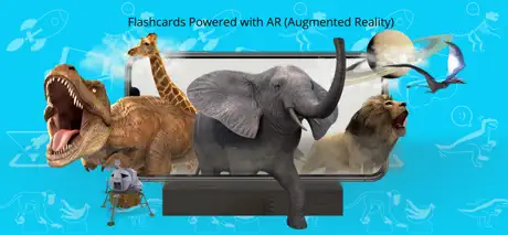 Wow 4D+