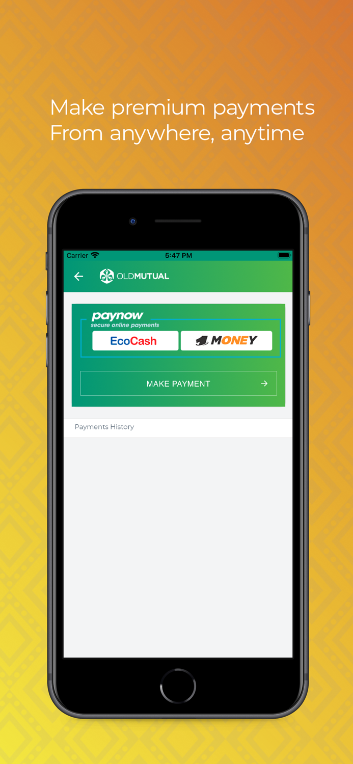 Old Mutual Insurance Zim