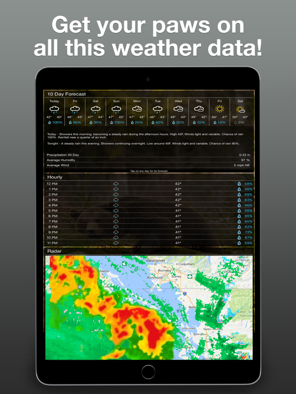 Weather Kitty: Weather + Radarのおすすめ画像2