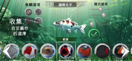 My Koi
