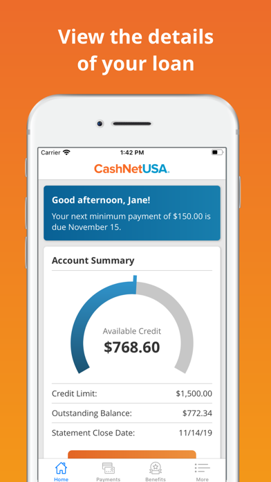 CashNetUSA Screenshot