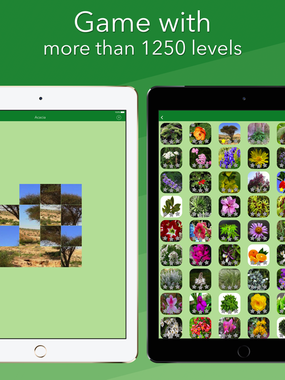 Screenshot #5 pour Language of Nature