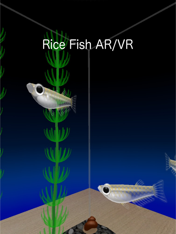 Screenshot #4 pour Rice Fish AR/VR