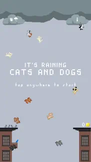 it's raining cats and dogs iphone screenshot 1