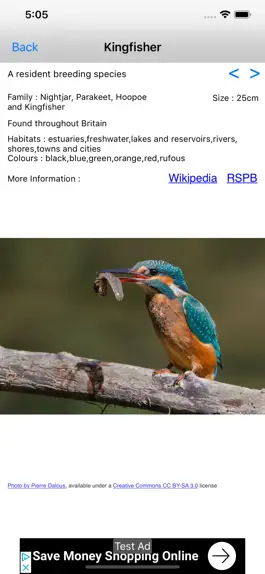 Game screenshot Birds Of Britain mod apk
