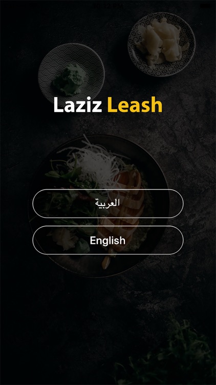 Laziz leash - لذيذ ليش ؟