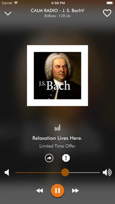 Screenshot #3 pour Classical Music Radio app