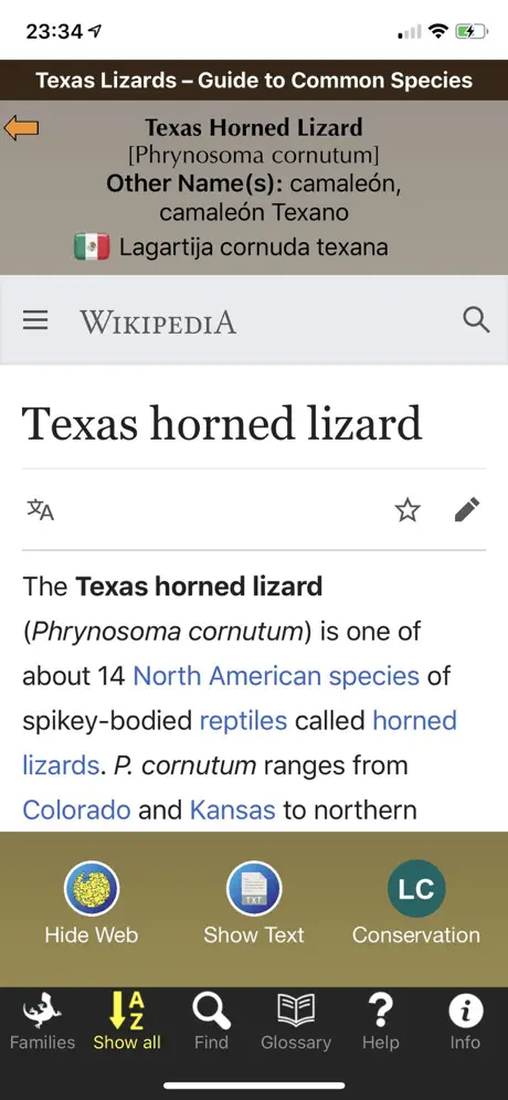 Texas Lizards